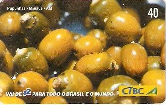 CTBC-T-0829 - Frutas do Brasil - 08/12